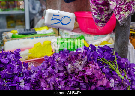 Frisches lila und rosa Orchideen bei Pak Khlong Talat, Bangkok Blumenmarkt. Thailand. Stockfoto