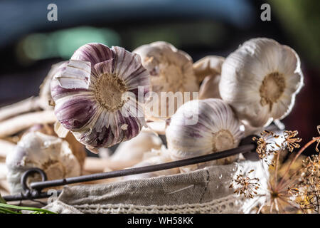 Knoblauch im Korb mit Petersilie Kräuter und getrockneten Dill auf hölzernen Tisch Stockfoto
