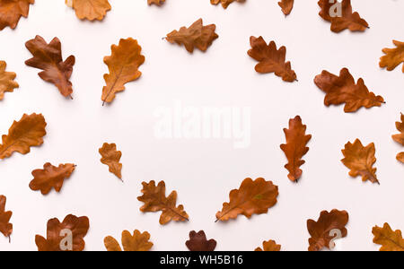 Herbst Hintergrund mit braunen Laub auf Weiß Stockfoto