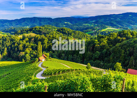 Spicnik, Maribor, Slowenien. Berühmte herzförmige Weinstraße. Stockfoto