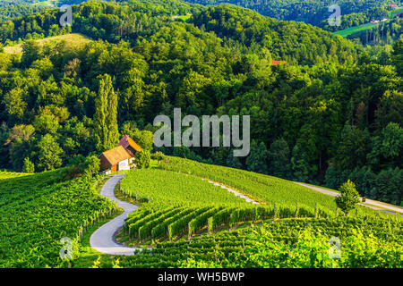 Spicnik, Maribor, Slowenien. Berühmte herzförmige Weinstraße. Stockfoto