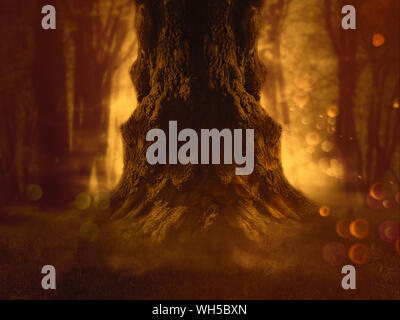 Große krumme spooky Baum in der Nacht den Wald. Stockfoto