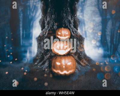 Große krumme spooky Baum in der Nacht Wald mit Halloween Kürbisse. Stockfoto