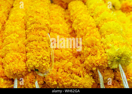 Ringelblume phuang Malai, traditionelle Thai Flower Garland Angebote bei Pak Khlong Talat, Bangkok Blumenmarkt. Thailand. Stockfoto