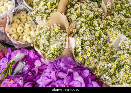 Blumensträuße von Weißen aster Blumen und lila Orchideen bei Pak Khlong Talat, berühmten Blumenmarkt in Bangkok, Thailand. Stockfoto