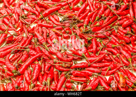 Leuchtend rote frische Chilly Peppers auf einem lokalen Markt in Bangkok, Thailand. Stockfoto