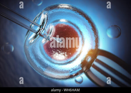 Künstliche Befruchtung. Die Befruchtung der menschlichen Eizelle durch die Spermien. IVF in-vitro-Fertilisation. 3D-Darstellung Stockfoto