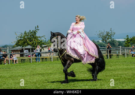 Schloss Hof Großes Pferdefest 2019 Große Equestrian Show auf Schloss Hof Schloss mit zwei Frauen reiten auf einer Seite Sattel Stockfoto