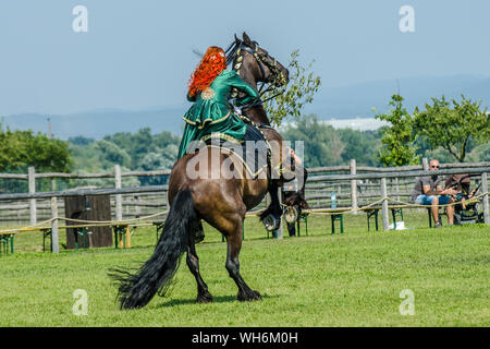 Schloss Hof Großes Pferdefest 2019 Große Equestrian Show auf Schloss Hof Schloss mit zwei Frauen reiten auf einer Seite Sattel Stockfoto