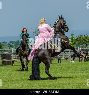 Schloss Hof Großes Pferdefest 2019 Große Equestrian Show auf Schloss Hof Schloss mit zwei Frauen reiten auf einer Seite Sattel Stockfoto