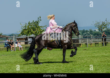 Schloss Hof Großes Pferdefest 2019 Große Equestrian Show auf Schloss Hof Schloss mit zwei Frauen reiten auf einer Seite Sattel Stockfoto