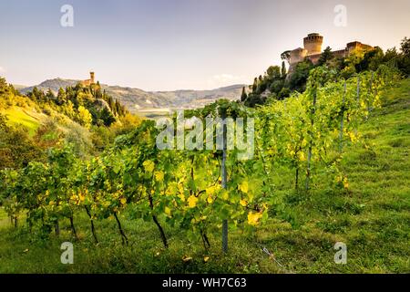 Weinberge vor der Rocca Manfrediana Festung, auf der linken Uhrturm Torre dell'Orologio, Brisighella, Emilia-Romagna, Italien Stockfoto