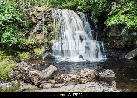 Catrake Kraft Wasserfall an der Küste zu Küste Spaziergang in der Nähe des Dorfes Keld in den Yorkshire Dales Stockfoto