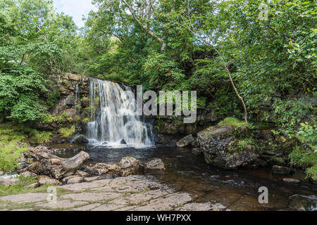 Catrake Kraft Wasserfall an der Küste zu Küste Spaziergang in der Nähe des Dorfes Keld in den Yorkshire Dales Stockfoto