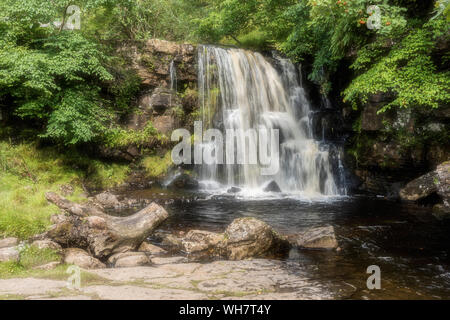 Catrake Kraft Wasserfall an der Küste zu Küste Spaziergang in der Nähe des Dorfes Keld in den Yorkshire Dales Stockfoto