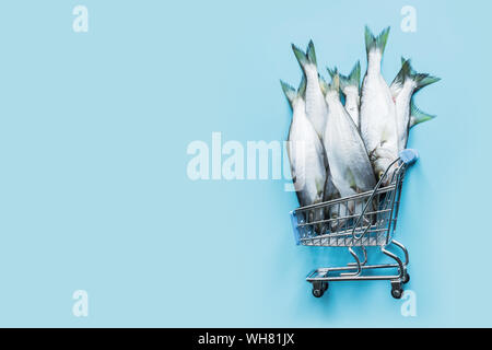 Bluefish in Lebensmittelgeschäft Trolley auf Pastell blau. Fisch Muster mit Platz für Text. Blick von oben. Stockfoto
