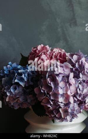 Nahaufnahme der vertikalen Aufnahme einer schönen rosa Pflanze in einem Weißer Keramiktopf im Innenbereich Stockfoto