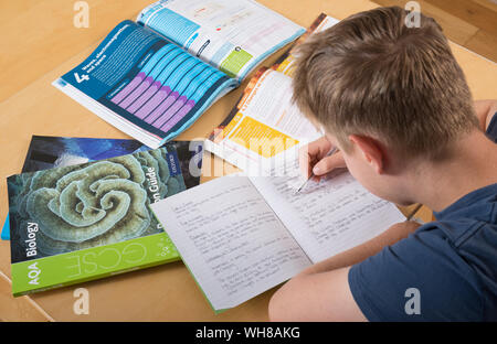 Ein Schüler, der für seine GCSE-Prüfungen überarbeitet, zu Hause lernt Stockfoto