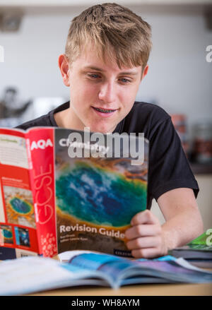 Schüler die Überarbeitung für seine GCSE Prüfungen Stockfoto