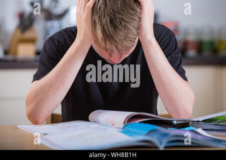 Ein gestresster Teenager studieren für seine Prüfungen Stockfoto