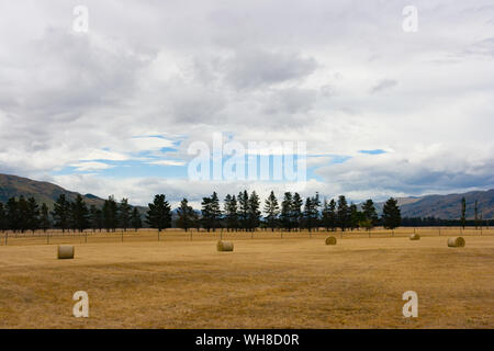 Heuballen und Landwirtschaft in der Nähe der berühmten Lindis Pass in Central Otago auf der Südinsel Neuseelands Stockfoto