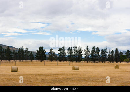 Heuballen und Landwirtschaft in der Nähe der berühmten Lindis Pass in Central Otago auf der Südinsel Neuseelands Stockfoto