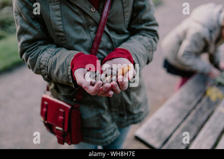 Mädchen, dass Kastanien in Ihrer Hand Stockfoto