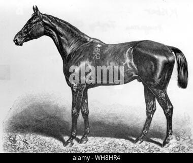 Die 1876 Epsom Derby Sieger war Ungarisch - der importierten englischer Eltern gezüchtet. Er wurde von Buccaneer, durch das Derby Sieger Wild Dayrell, die von Sir Peter Teazle abstammen, aus einem rataplan Mare, deren Damm wurde durch Birdcatcher. Seine Besitzer in England waren die gemütlich junge baltazzi Brüder, Rugby gebildeten Levantines. Er erschien in Epsom am Derby Tag dank einem geldverleiher, der erhielt die Baltazzis aus Ärger mit einem anderen Geldverleiher. Er war sehr gereizt und mit großer Leichtigkeit gewonnen. Er war nobbled vor dem St Leger. Bei stud Er war enttäuschend. Die Geschichte der Pferderennen von Roger Longrigg, Seite Stockfoto