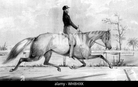Lady Suffolk, die gefeierte Trab Mare und ihre Reiter, Albert Concklin, wie sie auf dem Beacon Kurs, Hoboken, New Jersey. Am 12. Juli 1843 erschien. Lady Suffolk, der die Größe und Farbe der ihr Vorfahr messenger geerbt, brachte die Meile Eintrag in bis zu 2 Minuten 26.5 secs, gegen die Uhr in Hoboken Trab. Damals war sie 10 Jahre alt. Sie trottete, weitere 11 Jahre, zuletzt im Kabelbaum. Die Geschichte der Pferderennen von Roger Longrigg, Seite 240. Stockfoto
