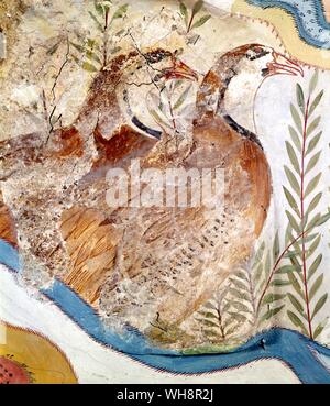 Natur und Kunst Fresko von Red-legged Rebhühner aus dem Rest House, Knossos, um 1500 v. Chr. Stockfoto