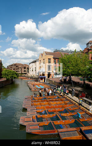 Holz- stocherkähne auf dem Fluss Cam auf der Scudamore stochern Unternehmen, Cambridge, England. Stockfoto