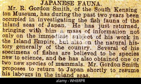 Zeitungsartikel Aufzeichnung Richard Gordon-Smith Erkenntnisse, während in Japan. 1905 Stockfoto