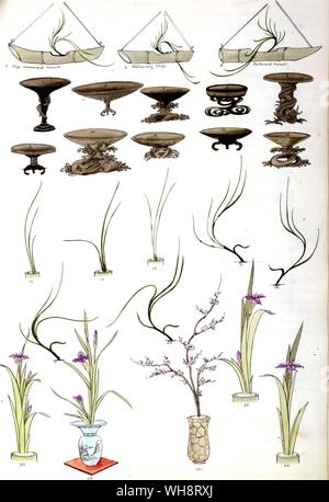 Designs in japanischen Blume verwendet. 1904 Stockfoto