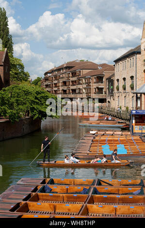 Holz- stocherkähne auf dem Fluss Cam auf der Scudamore stochern Unternehmen, Cambridge, England. Stockfoto