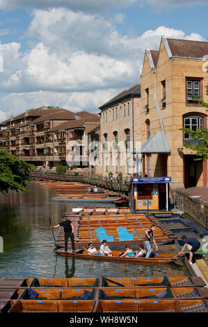 Holz- stocherkähne auf dem Fluss Cam auf der Scudamore stochern Unternehmen, Cambridge, England. Stockfoto