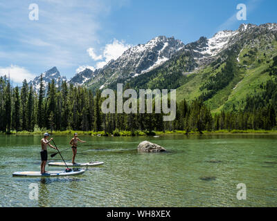 Stand Up Paddle Boarder auf String-See, Grand Teton National Park, Wyoming, Vereinigte Staaten von Amerika, Nordamerika Stockfoto