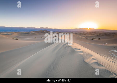 Mesquite flache Sanddünen im Death Valley National Park, Kalifornien, Vereinigte Staaten von Amerika, Nordamerika Stockfoto