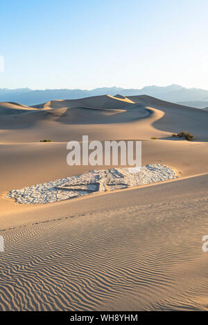 Mesquite flache Sanddünen im Death Valley National Park, Kalifornien, Vereinigte Staaten von Amerika, Nordamerika Stockfoto