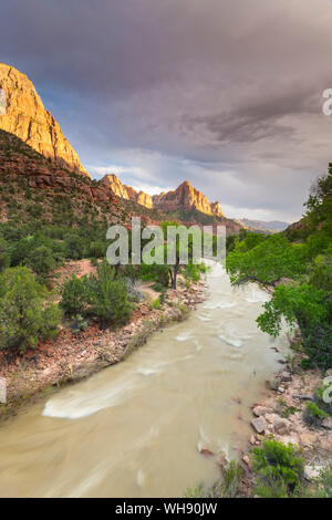 Blick hinunter vom Virgin River, der Wächter, der Zion National Park, Utah, Vereinigte Staaten von Amerika, Nordamerika Stockfoto