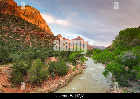 Blick hinunter vom Virgin River, der Wächter, der Zion National Park, Utah, Vereinigte Staaten von Amerika, Nordamerika Stockfoto