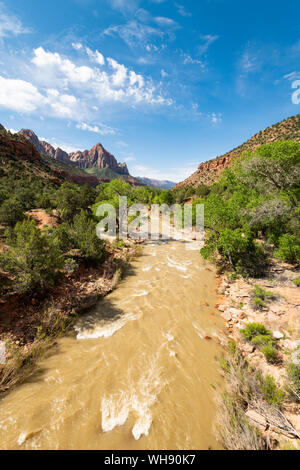 Blick auf den Wächter des Virgin River, Zion National Park, Utah, Vereinigte Staaten von Amerika, Nordamerika Stockfoto