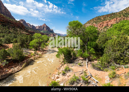 Blick auf den Wächter des Virgin River, Zion National Park, Utah, Vereinigte Staaten von Amerika, Nordamerika Stockfoto