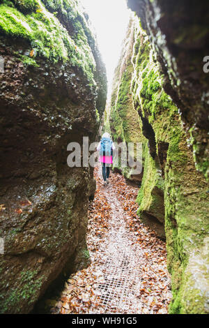 Wanderer auf dem Weg durch die enge Schlucht, Drachenschlucht, Thüringer Wald, Eisenach, Deutschland Stockfoto