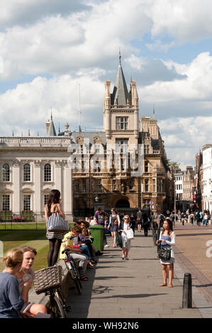 Senat Haus mit Gonville und Caius College im Hintergrund, Cambridge, England. Stockfoto