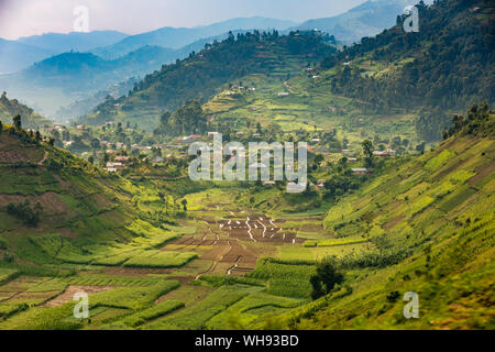 Fahrt durch Lake Bunyonyi in Uganda, Ostafrika, Südafrika Stockfoto