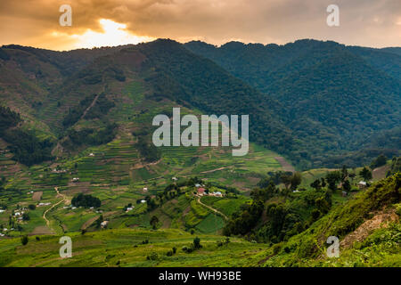 Agandi Eco Lodge (die Hütten), Bwindi Impenetrable Forest Nationalpark, UNESCO-Weltkulturerbe, Uganda, Ostafrika, Südafrika Stockfoto