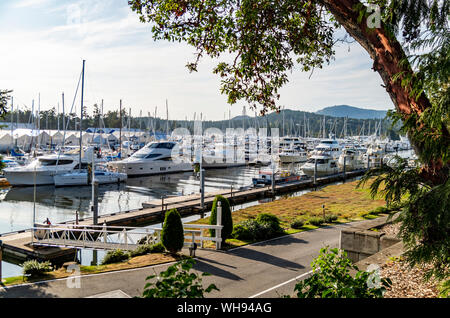 Ein Blick auf Van Isle Marina in Sidney BC von Miraloma On The Cove. Stockfoto