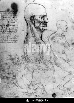 Von der Augenbraue an der Kreuzung der Lippe mit dem Kinn, der Winkel des Kiefers, und der Winkel, in dem das Ohr verbindet der Tempel wird ein perfektes Quadrat ..." Proportionen des menschlichen Kopf, mit Reitern für die Schlacht von Anghiari. Stockfoto