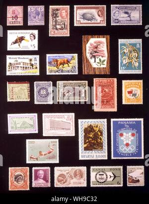 Amerika - Britisch Honduras und Panama: (von links nach rechts) 1. Britisch Honduras, 6 Cent 1891, 2. Britisch Honduras, 5 Cent, 1915, 3. Britisch Honduras, 2 Cent, 1938, 4. Britisch Honduras, 1 Dollars, 1953, 5. Britisch Honduras, 15 Cent, 1960, 6. Britisch Honduras, 5 Dollars, 1962, 7. Britisch Honduras, 50 Cent, 1971, 8. Britisch Honduras, 5 Dollars, 1968, 9. Britisch Honduras, 22 Cents 1969, 10. Britisch Honduras, 15 Cent, 1970, 11. Panama, 1 Centavo 1904, 12. Panama, 5 Centavos, 1904, 13. Panama, 1 centesimo 1915, 1' 4. Panama, 2 centesimos, 1928, 15. Panama, 0,5 centesimo 1906, 16. Panama, 1. Stockfoto