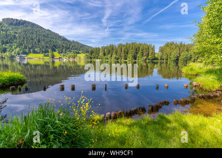 Blick auf die Reflexionen in Schwarzsee, Kitzbühel, Tirol, Österreich, Europa Stockfoto